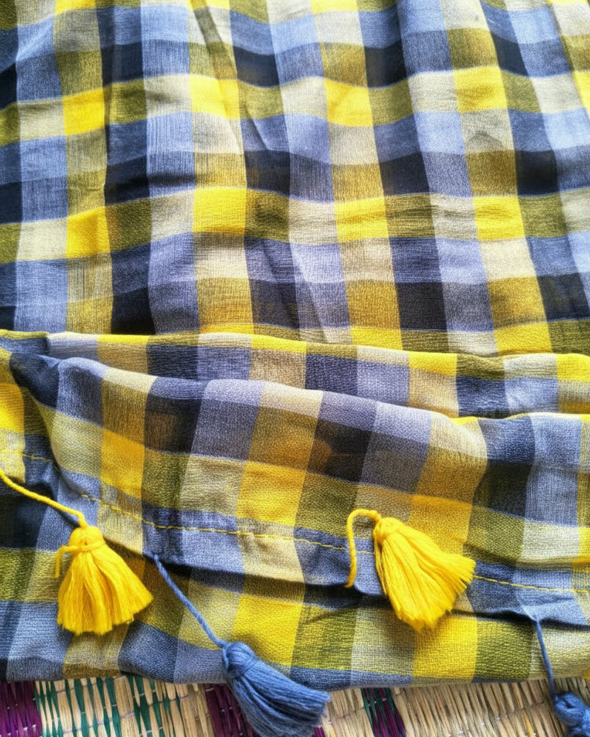 Sunshine Check Handloom Mul Cotton
