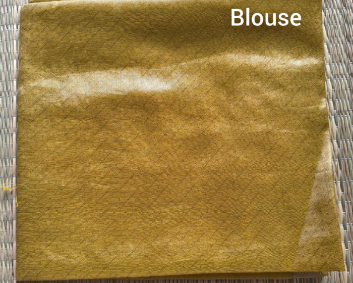 Gold Tissue Banarasi Saree